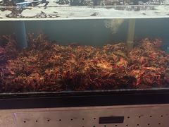 -鼎原力量东北吊炉烧烤(幸福街店)