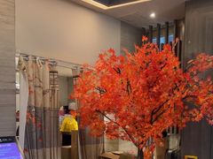 -新银座水汇(罗湖店)