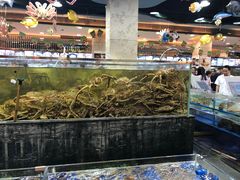 -东江海鲜酒家(艺都分店)