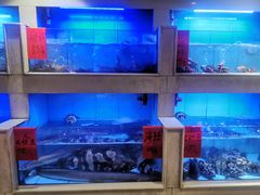 水产区-老蒲田·渔乡楼