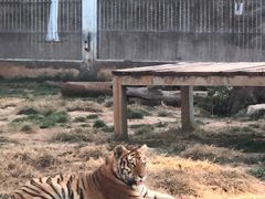 -昆明动物园