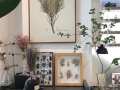 -植物学家的女儿(北马道巷店)