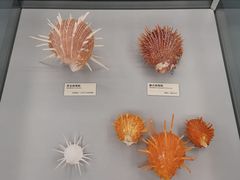 -天津古林古海岸遗迹博物馆