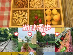-西青郊野公园