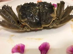 -新光酒家·河豚·海鲜·蟹料理(浦东店)