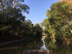 -上海长兴岛郊野公园