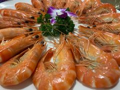 白灼九节虾-蚝专家(北滘店)