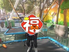 -西安市长乐公园