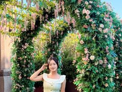 -汕头龙光喜来登酒店