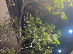 -曲水兰亭(北京四惠店)