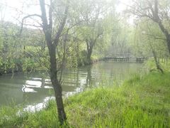 -溱湖国家湿地公园