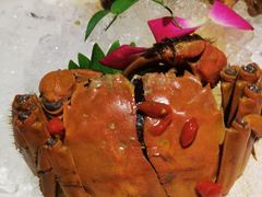 -蟹榭·本帮江浙菜·蟹宴(五角场合生汇商场店)