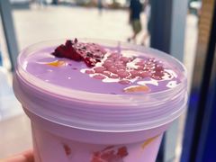 -溪边姑娘·拉丝酸奶水果捞(春熙路店)