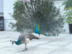 -西昌邛海宾馆