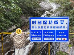 -青峰峡国家森林公园