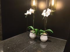 -Tivano意大利餐厅(成都居舍酒店)