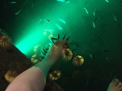 -宝丽金大酒店·洗浴中心