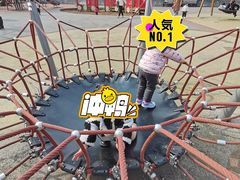 -枫香湖儿童公园