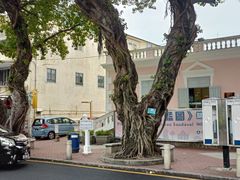 -安德鲁饼店(总店)