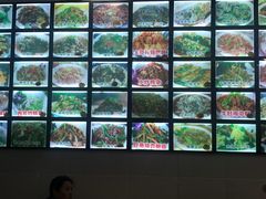 -福鑫源海鲜烧烤