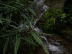 -海窝子古镇
