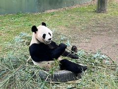 -上海野生动物园
