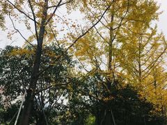 -杭州电子科技大学(下沙校区)