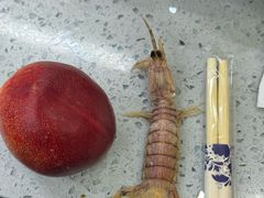 -仙螺岛海鲜自助餐厅(总店)
