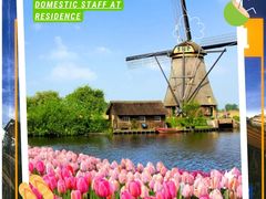 -上海星河湾双语学校