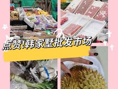 -韩家墅海吉星农产品批发市场