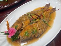 干烧大黄鱼-鹿鸣春饭店(总店)