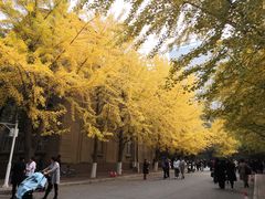 -辽宁大学(崇山校区)