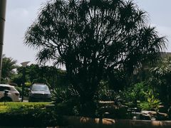 -佛山顺德金茂华美达广场大酒店