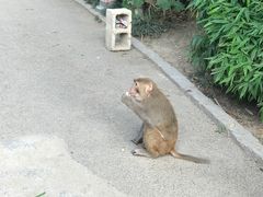 -黔灵山公园