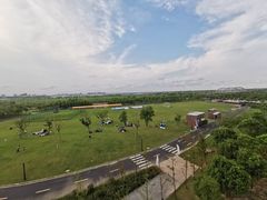 -春花秋色城市公园