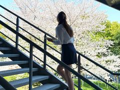 -IKEA宜家家居(南京商场)