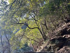 -庐山碧龙潭风景区