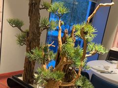 -顺峰(农展馆店)