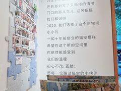 -猫的天空之城概念书店(大学路店)
