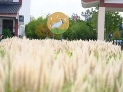 -漩门湾国家湿地公园