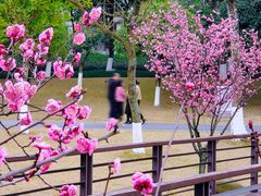 -沐仙湖湿地公园
