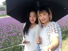 -秀丽东方