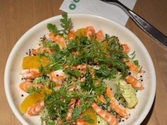 -O'eat Blossom&Pelican(深圳首店)