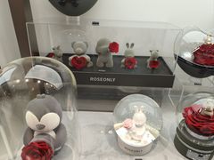 -ROSEONLY诺誓(广州K11店)