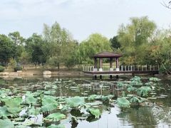 -苏州金鸡湖大酒店
