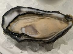 -Oyster Talks 四度蚝法餐厅