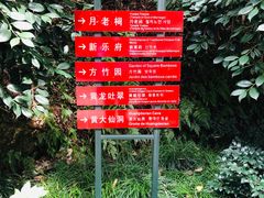 -杭州黄龙洞