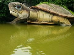 android_upload_pic-湖光岩风景区