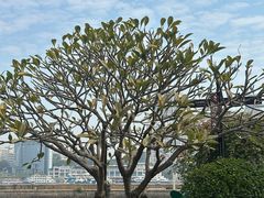 -湄南泰式古法按摩แม่น้ำนวดแผนไทยโบราณ