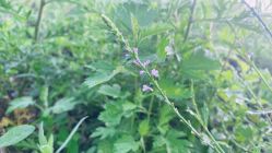 -Oasis Beauty水磨坊科技美肤中心